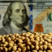 Debutó el Dólar Soja y el Gobierno pudo comprar casi U$D 200 millones