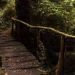 Actividades de verano en el Parque Botánico Municipal del B° Los Perales