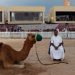Qué es la "gripe del camello", el virus que joroba a Francia y tiene en alerta a Qatar