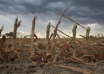Más del 50% de territorio nacional está afectado por la falta de agua