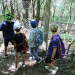 Continúa la propuesta “Yungueritos” en vacaciones del Parque Botánico Municipal
