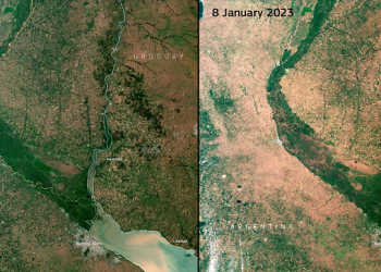 1,7 millones de hectáreas quedaron fuera de juego por la peor sequía en 60 años