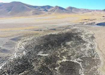 La Rioja: La Cámara Argentina de Empresarios Mineros expresó su preocupación por la ley que declara al litio de interés público