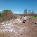Multaron a una avícola de Jujuy por arrojar 3 mil pollos muertos al aire libre