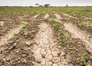 Alertan que la mayoría de las economías regionales están en crisis por la sequía y los altos costos