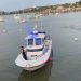 Encuentran sin vida al argentino que viajaba en velero y había caído al agua en Colonia