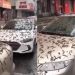 Una misteriosa "lluvia de gusanos" cayó sobre China: qué pasó realmente