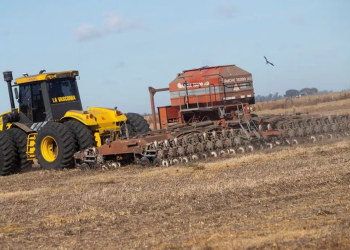 Por la sequía, el Gobierno declaró la emergencia agropecuaria en Córdoba