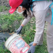 Continúan los operativos de control focal, descacharrado y fumigación frente al dengue