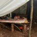 Rescataron a cuatro argentinos que trabajaban en condiciones de esclavitud en el sur de Brasil