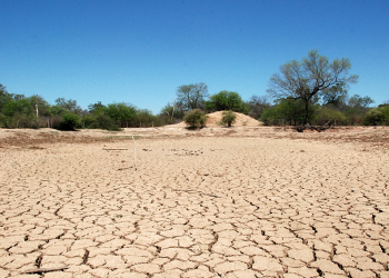 Dictan la emergencia agropecuaria por sequía en 10 departamentos de Salta