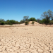 Dictan la emergencia agropecuaria por sequía en 10 departamentos de Salta