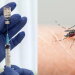 Cuándo estará disponible la vacuna contra el dengue que se aprobó en Argentina y a quiénes estará destinada