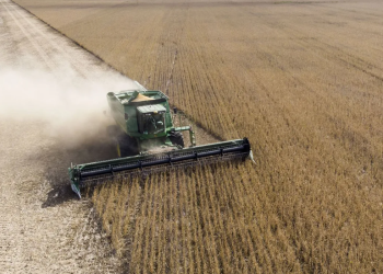 En medio de la sequía, el Estado se queda con casi $80 de cada $100 que gana el productor