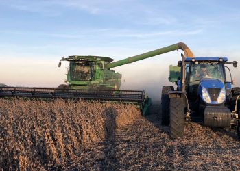 El campo liquidó 2.802 millones de dólares en el primer trimestre: fue el peor en 16 años