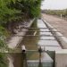 Encontraron el cuerpo de un hombre de 29 años en un canal de riego de Rodeíto