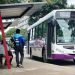 El lunes aumenta el transporte público de pasajeros en San Salvador de Jujuy
