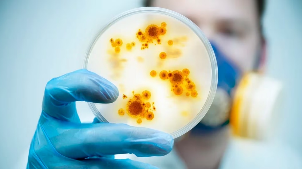 Récord de casos de meningitis en todo el país por la caída de las ...