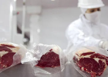 La Argentina exportará carne vacuna a Barbados y genética bovina a Costa Rica