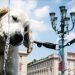 La ONU advirtió que el mundo debe prepararse para olas de calor más intensas