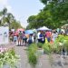 Habrá Paseo de las Plantas todos los fines de semana de julio