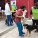 La campaña de vacunación antirrábica se cumplirá esta semana en tres barrios de la ciudad