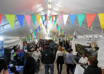 Actividades recreativas para la segunda semana de vacaciones