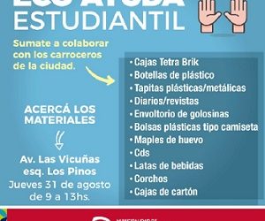 Invitan a colaborar con elementos reciclables para los carroceros de la ciudad