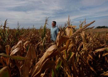 Productores agropecuarios del norte están en alerta por focos de incendios en zonas rurales