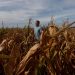 Productores agropecuarios del norte están en alerta por focos de incendios en zonas rurales
