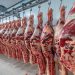 Marcha atrás con el cierre de las exportaciones de carne vacuna a la espera de un acuerdo de precios