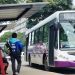 Desde este viernes el precio del boleto en Jujuy pasará a costar $115,49