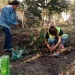 Instalan huertas agroecológicas en Alto Comedero