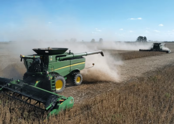 El humor del campo: dólar soja, crisis e incertidumbre, al tope de las preocupaciones del sector