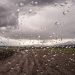 La región núcleo espera la lluvia con ansias