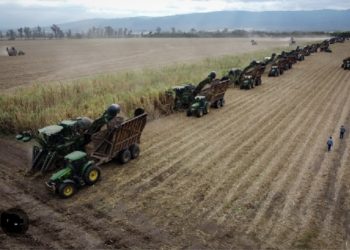 Ledesma finalizó su zafra 2023