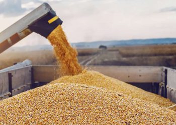 Oficializaron el nuevo esquema de exportación de granos