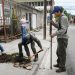 Campaña de arborización para mejorar el entorno urbano