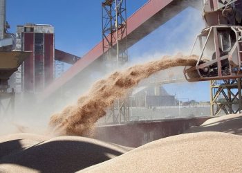 Bajan a cero retenciones para economías regionales y suben a 33% las de soja