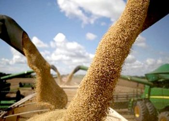 Milei resolvió cerrar los registros para exportar granos y subproductos agrícolas