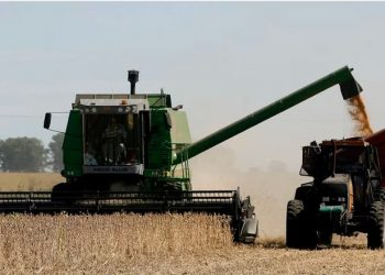 Cuáles son las exportaciones en las que el agro argentino es líder en el mundo y en cuáles pelea por el primer puesto