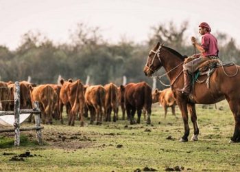 Trabajadores rurales actualizan salario de acuerdo a la inflación y acuerdan un bono extraordinario