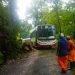 El Parque Nacional Calilegua coordina acciones con Vialidad de Jujuy