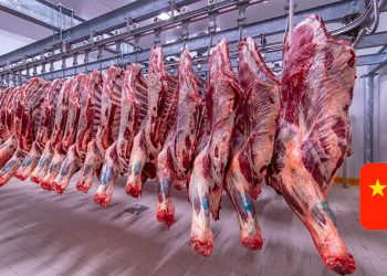 Se espera que China desacelere su crecimiento e impacte en el consumo de carnes