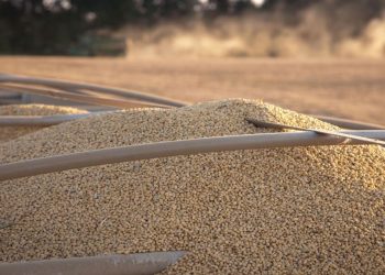 Se esperan USD 6.500 millones menos en ingresos por soja y maíz