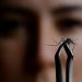 La crisis del dengue en Brasil es una advertencia para el mundo: se ha extendido a zonas que antes estaban a salvo