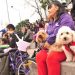 Una multitud de vecinos disfrutó del 4° Perrotón junto a sus mascotas