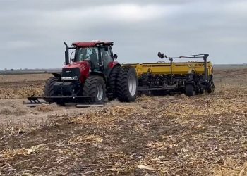 Afirman que la siembra de trigo llega muy condicionada en el centro del país