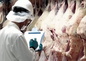 Las exportaciones de carne crecieron más del 20% en lo que va del año