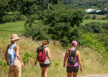 Crece la peregrinación de Jujuy a Salta en 5 días, inspirada en el Camino de Santiago